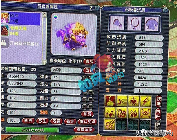 梦幻西游千万神豪木总加盟，冲少拍好转服烟花，姑苏城服战队起飞