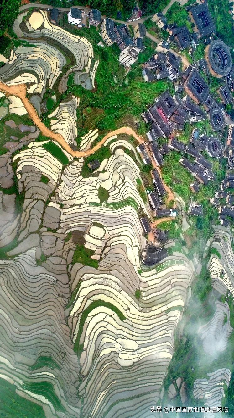 龙岩，为什么是福建第一“鲜城”？