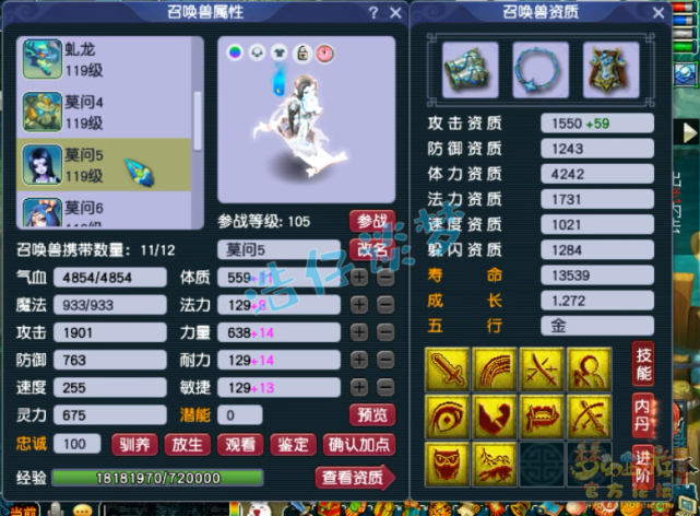 梦幻西游：历时短短4个月，玩家打造全服首个109比武状元东海渊