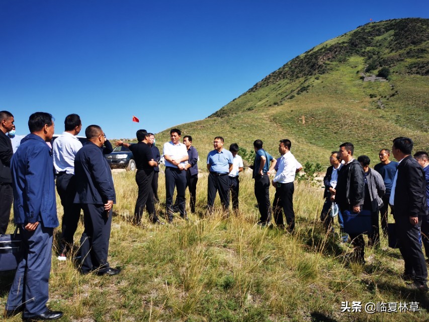 南泉村国家级森林乡村建设,丰镇市牛青山万亩经济林种植基地建设