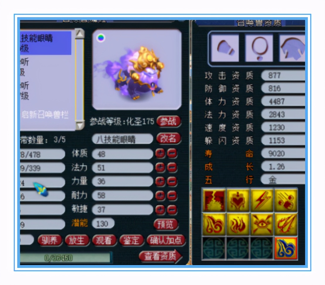 梦幻西游：69级的宝宝也能1W+血量？