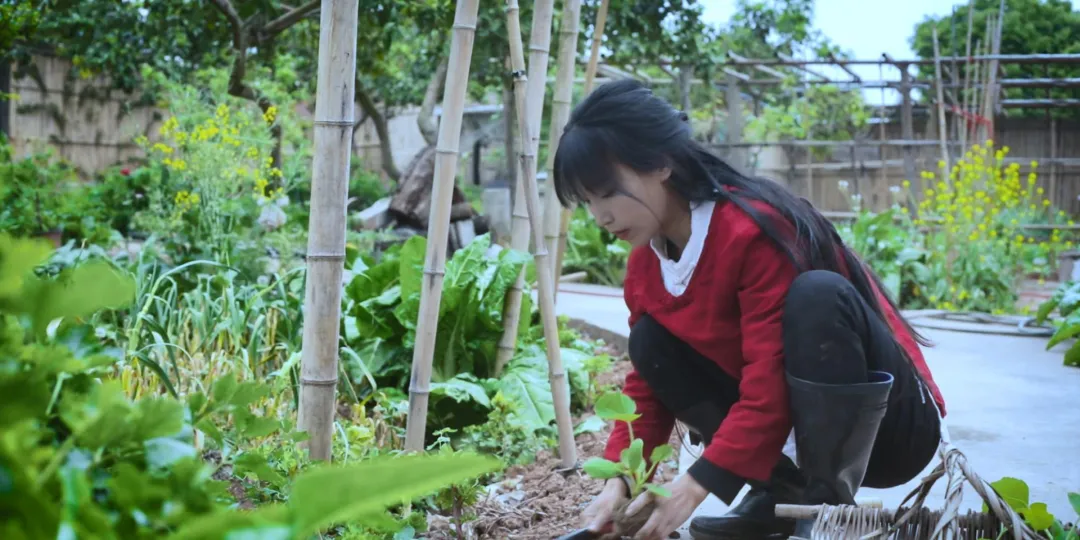 时间有点忒快了，又是一年忙秋收的季节