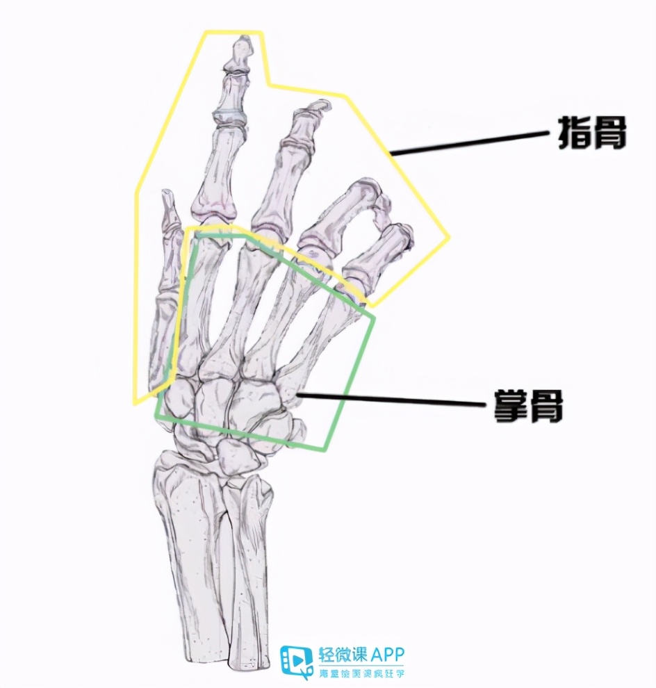 如何画动漫人物的手?画动漫人物手的教程