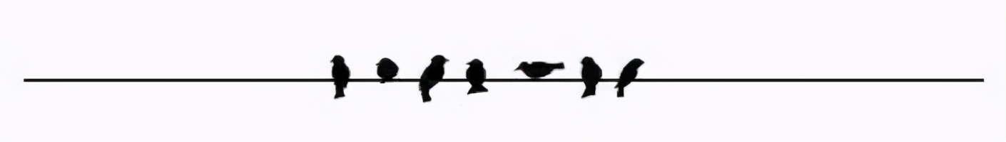 阔佬避风港：离岸家族信托