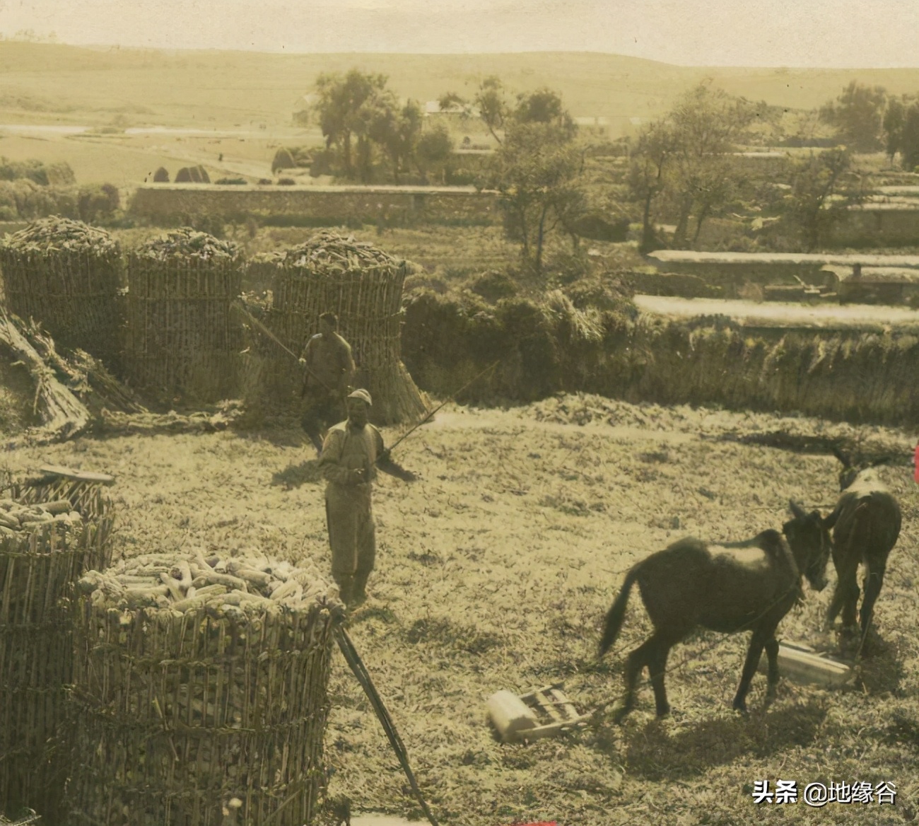 海参崴为什么不被清朝重视？