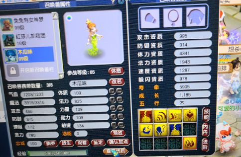 梦幻西游：王谢的神威号清仓了，比装备更吸引眼球的是个性宠乐园