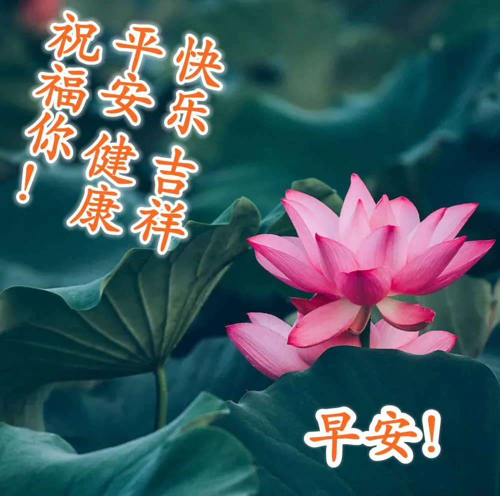 祝大家每天都充满希望,心想事成!