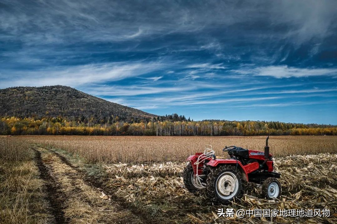 山东、河南、江苏、黑龙江…谁才是中国第一粮仓？