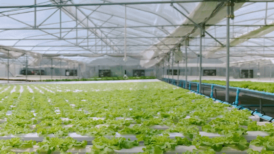 温室大棚冬季增温方案适合自己的才