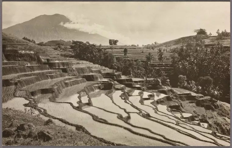 清代“中国人口大爆发”，真的是因为番薯推广吗？