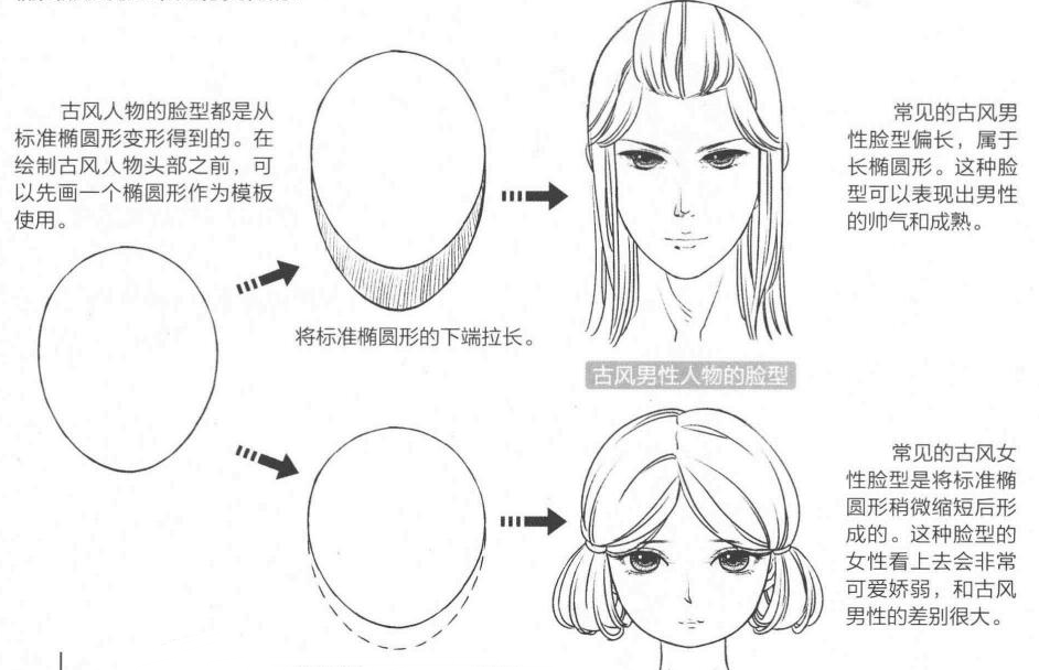 古风人物的脸型都是从标准椭圆形变形得到的.