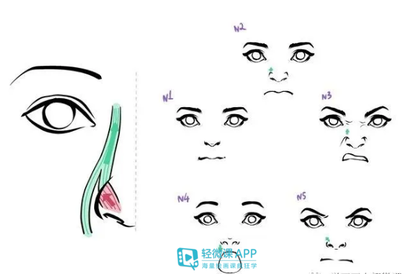 插画人物五官如何学习绘画超详细教程