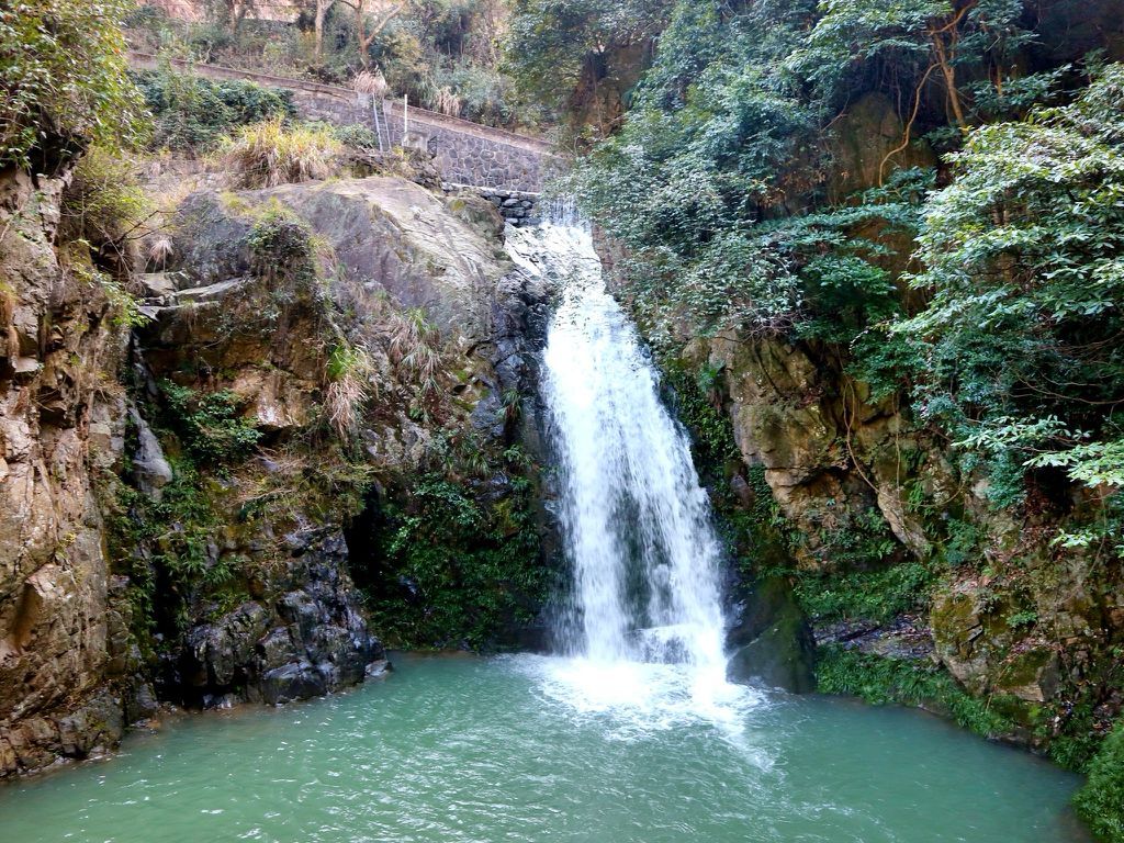 探访浙江 绍兴 诸暨  香榧森林公园