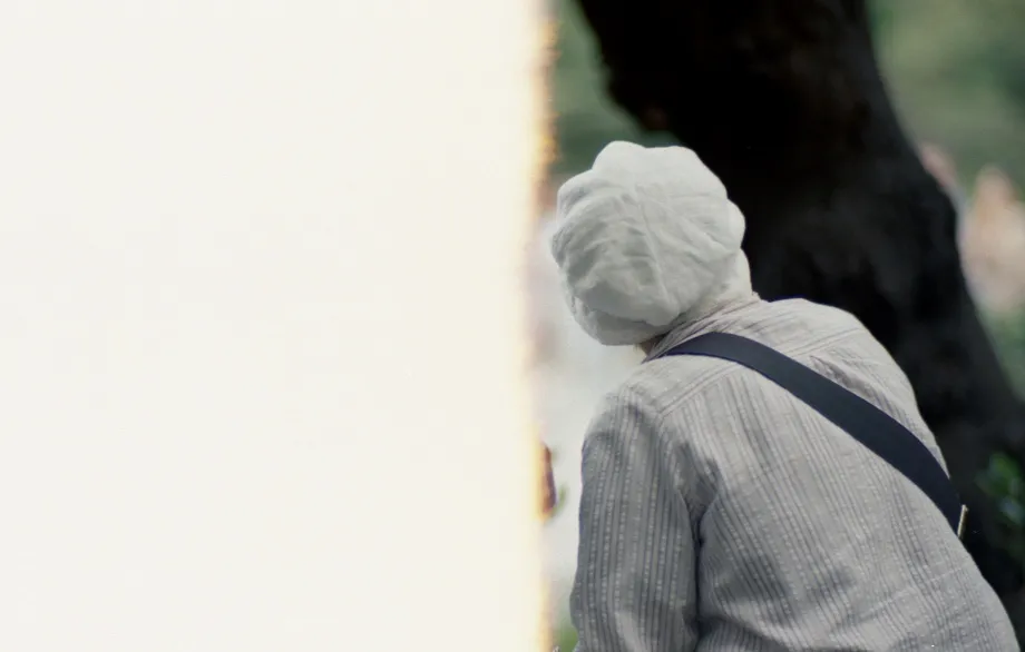 活得小心翼翼，“爸！你什么时候变得这么窝囊了？”