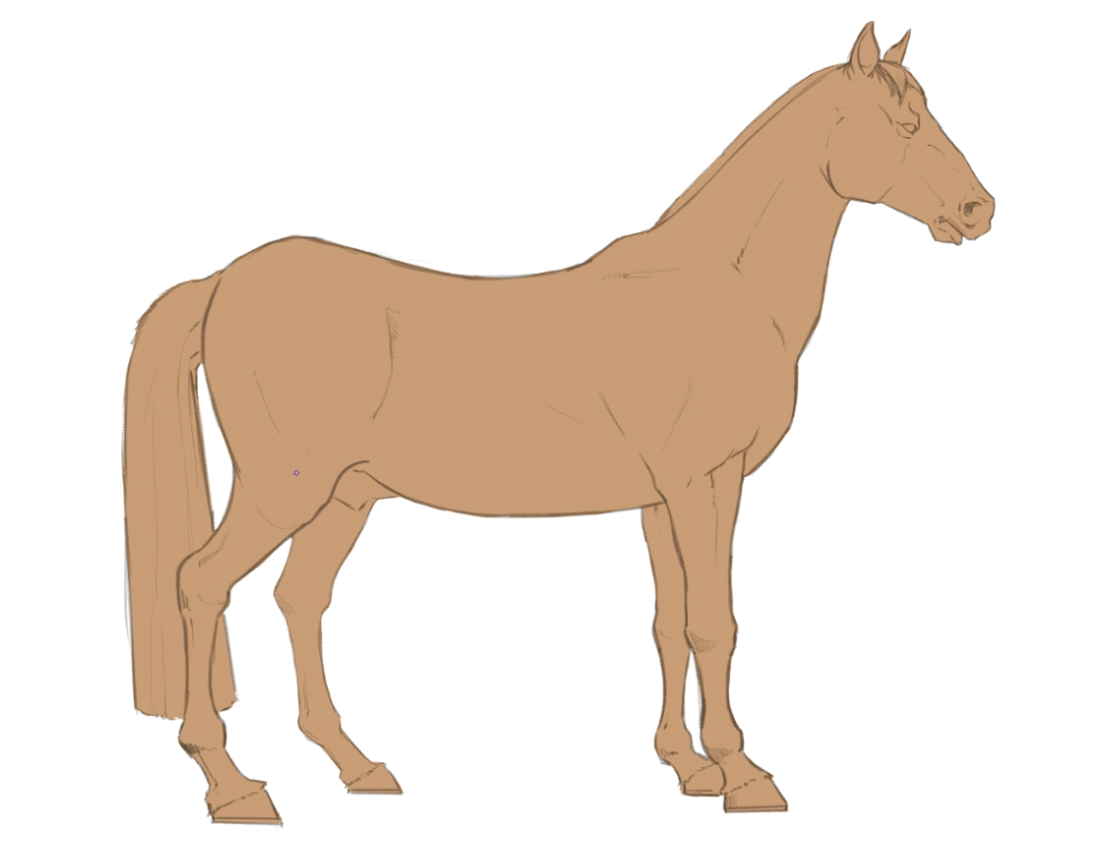教你动物马的各种形态画法教程!