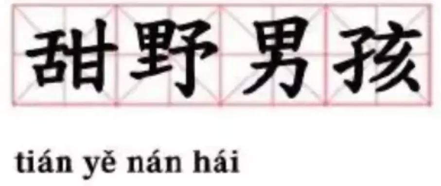 丁真究竟是谁.甜野男孩走红这波热度能持