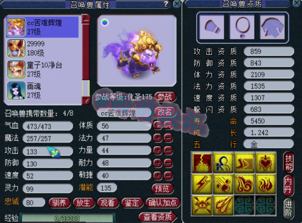 梦幻西游：新打成10技能观照谛听！刺激，阿海三只多技能净台打书