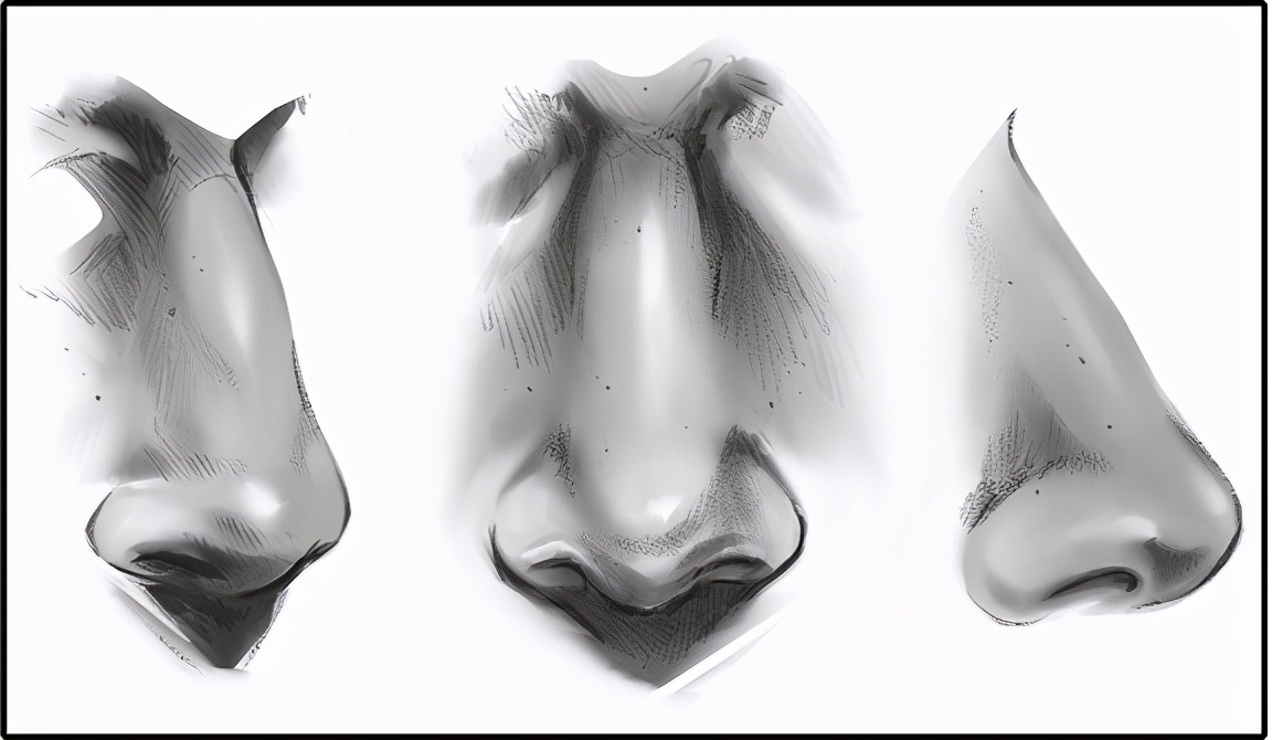 鼻子怎么画一步步教你画鼻子的正确步骤图