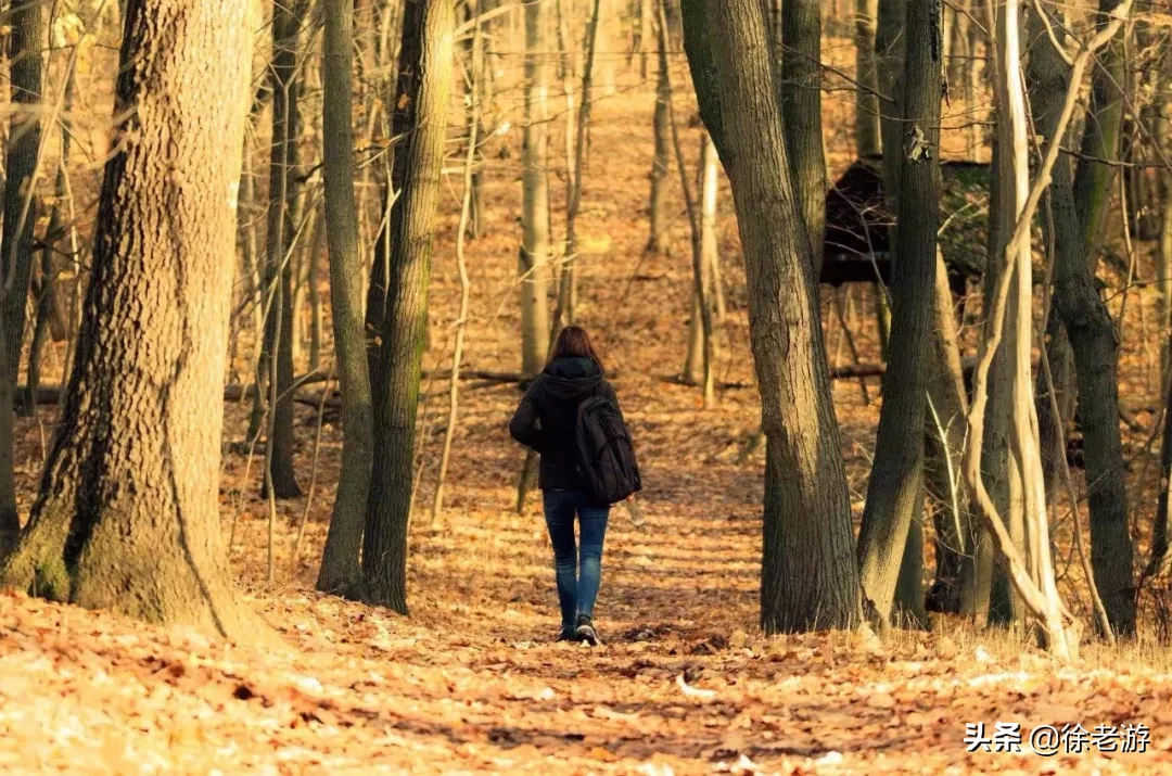 有些老师喜欢在课堂上胡扯，但我非常喜欢听