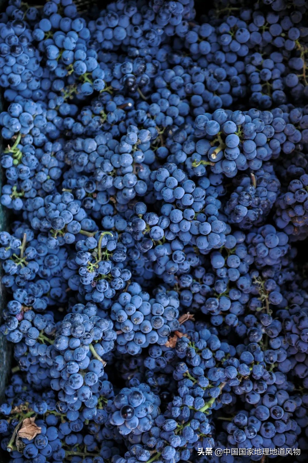 14亿中国人，人人都是“吃圆”天才