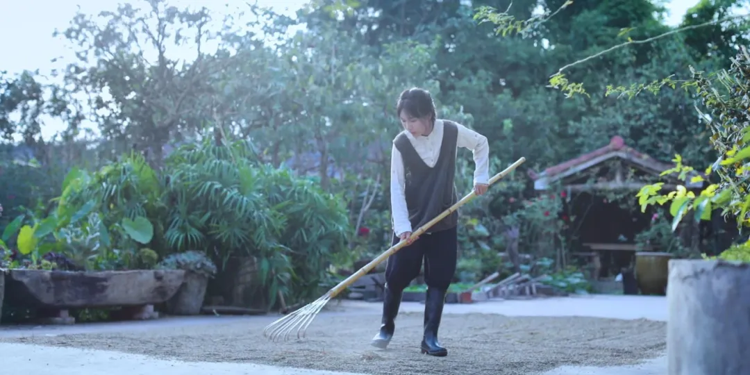 时间有点忒快了，又是一年忙秋收的季节