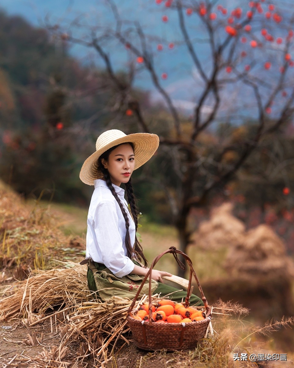 又到一年好“柿”节！拍好这深秋的“红灯笼”
