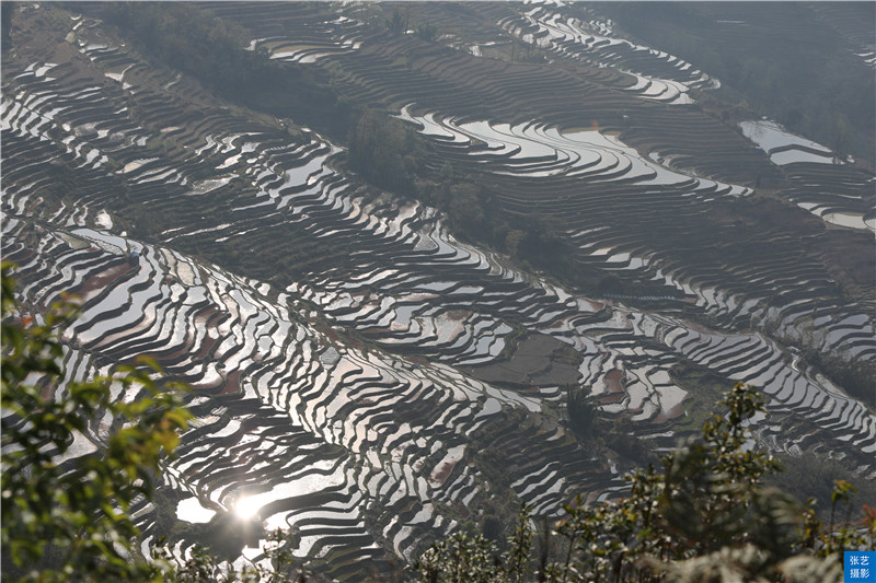 元阳梯田春天很美,坝达观景台只见人头涌涌,吵架事件屡见不鲜