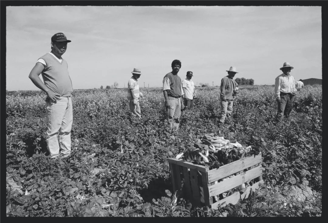 在国外生活的底层华人：他们都算不上活着