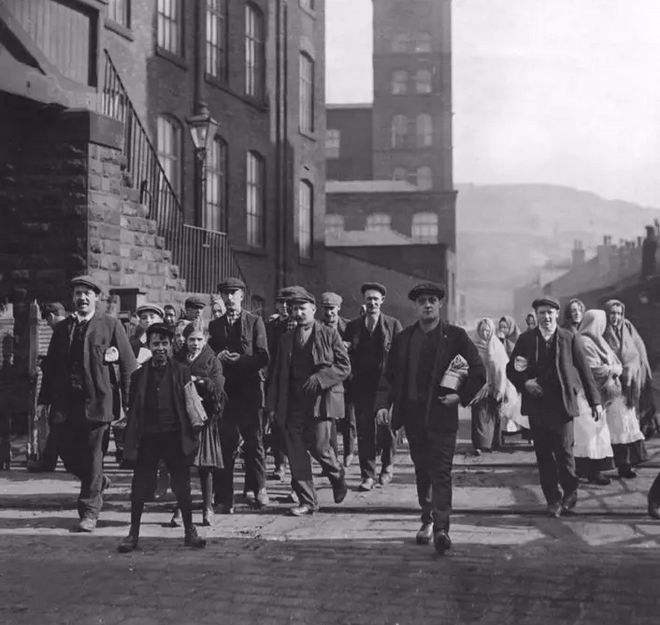 当棉花遇到资本主义