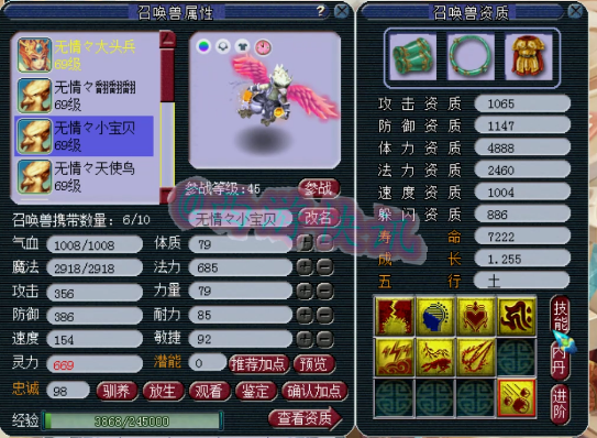 梦幻西游：59级一线狮驼展示，一套不磨无级别装备+超多极品宝宝