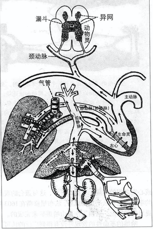 若非解剖学崛起，医学还处在黑暗时代