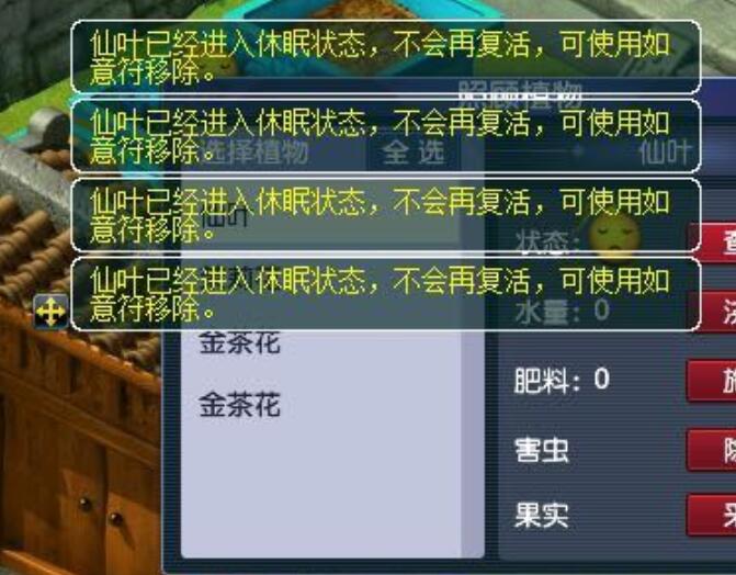 梦幻西游：玩了15年的梦幻，现在才知道天火下的特色奖励是什么