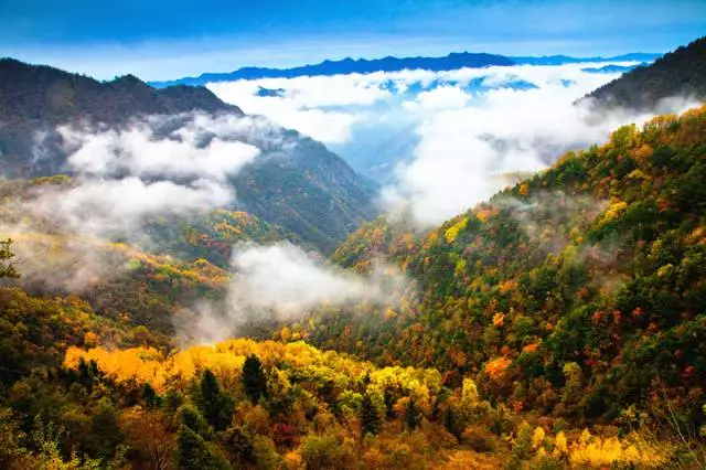 置身其中,除了欣赏大自然神奇美景,更能享受大巴山独特的时光静谧之美