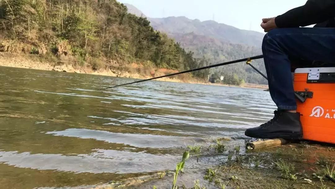 钓鱼人说的那些术语,钓鱼少了都听不懂