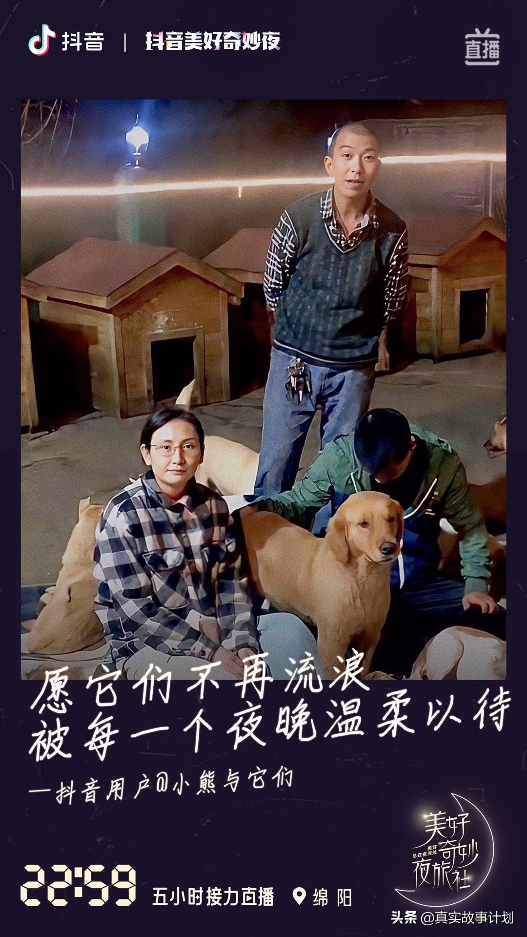 陌生人的爱，夜晚才会说出口