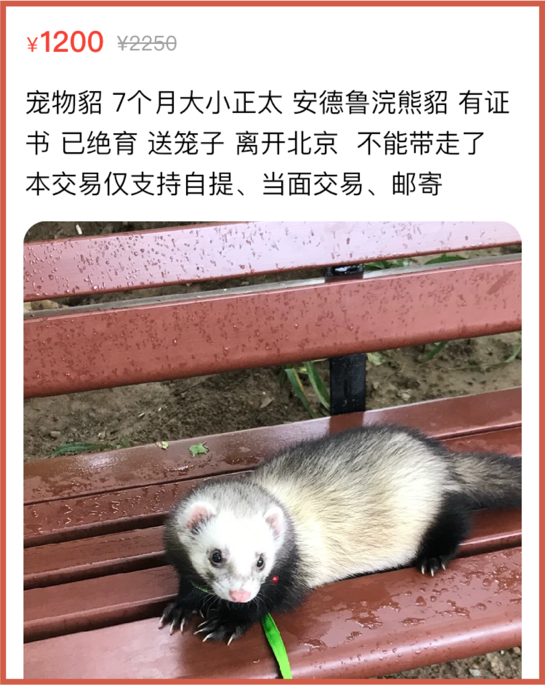 溃败北漂青年正在疯狂抛售所有家当