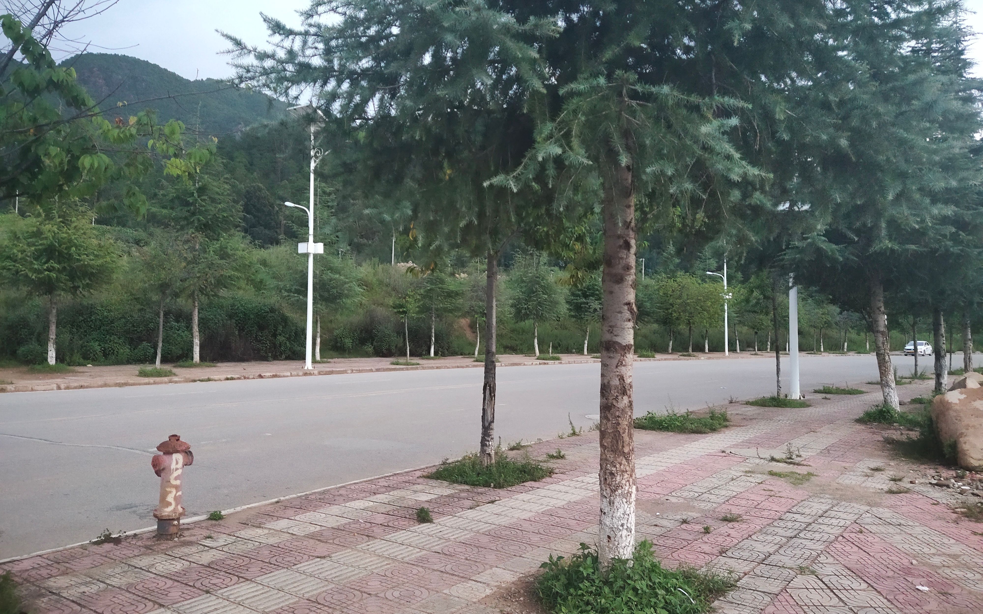 2岁男童、隐秘的山洞与一次未遂的拐卖计划