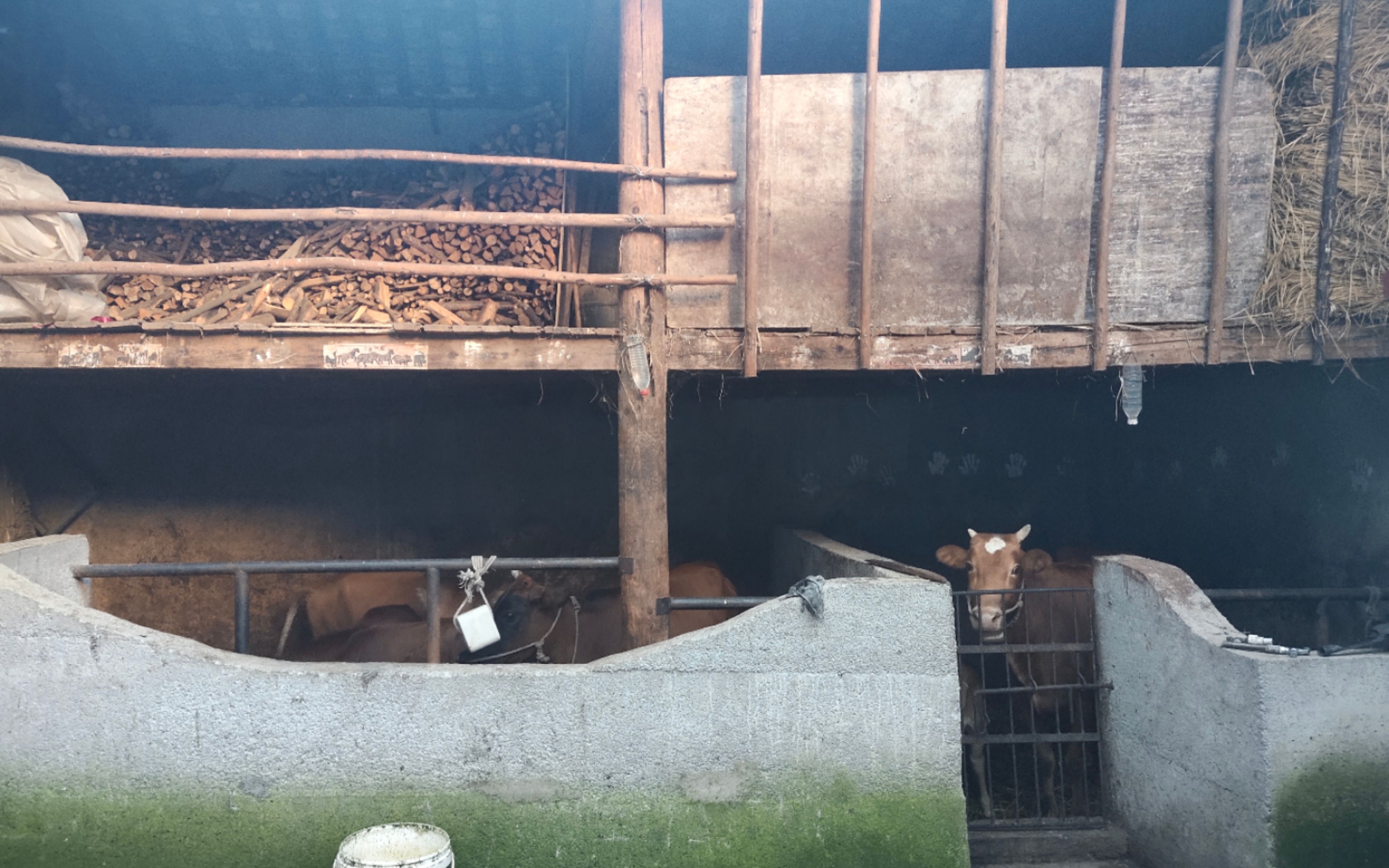 2岁男童、隐秘的山洞与一次未遂的拐卖计划