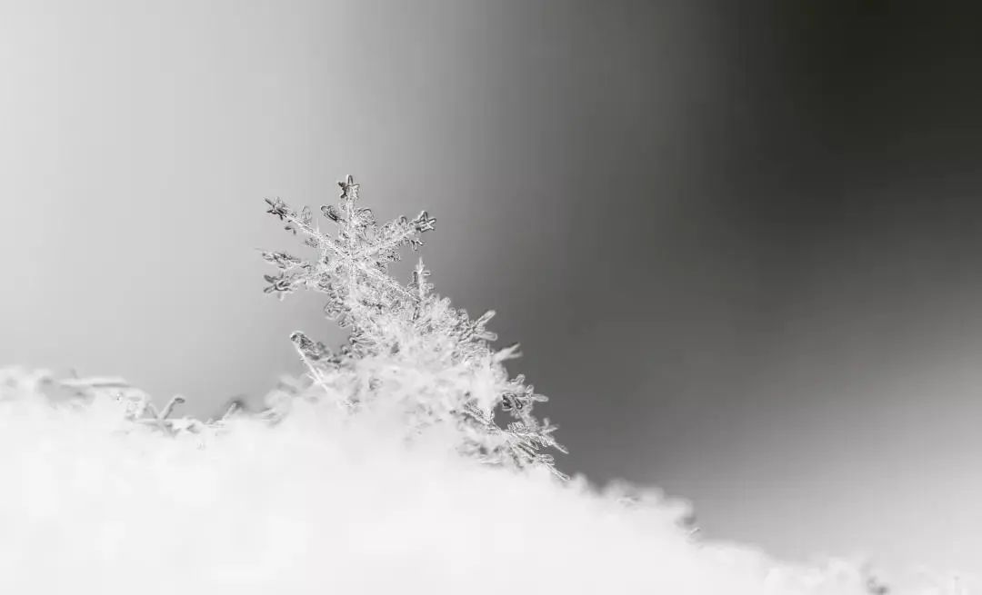 拉尼娜来了，今年冬天会很冷吗？