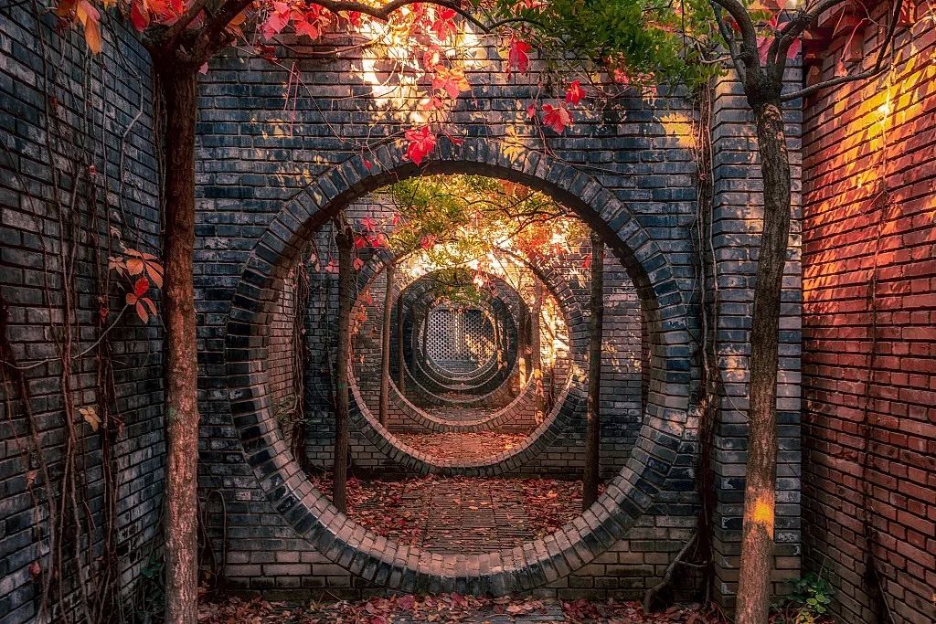 这里的秋天，美得不似人间，众多名人都来打卡