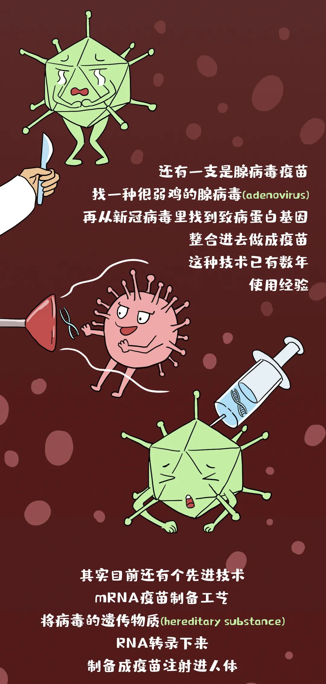 中国疫苗，稳！| 图图是道