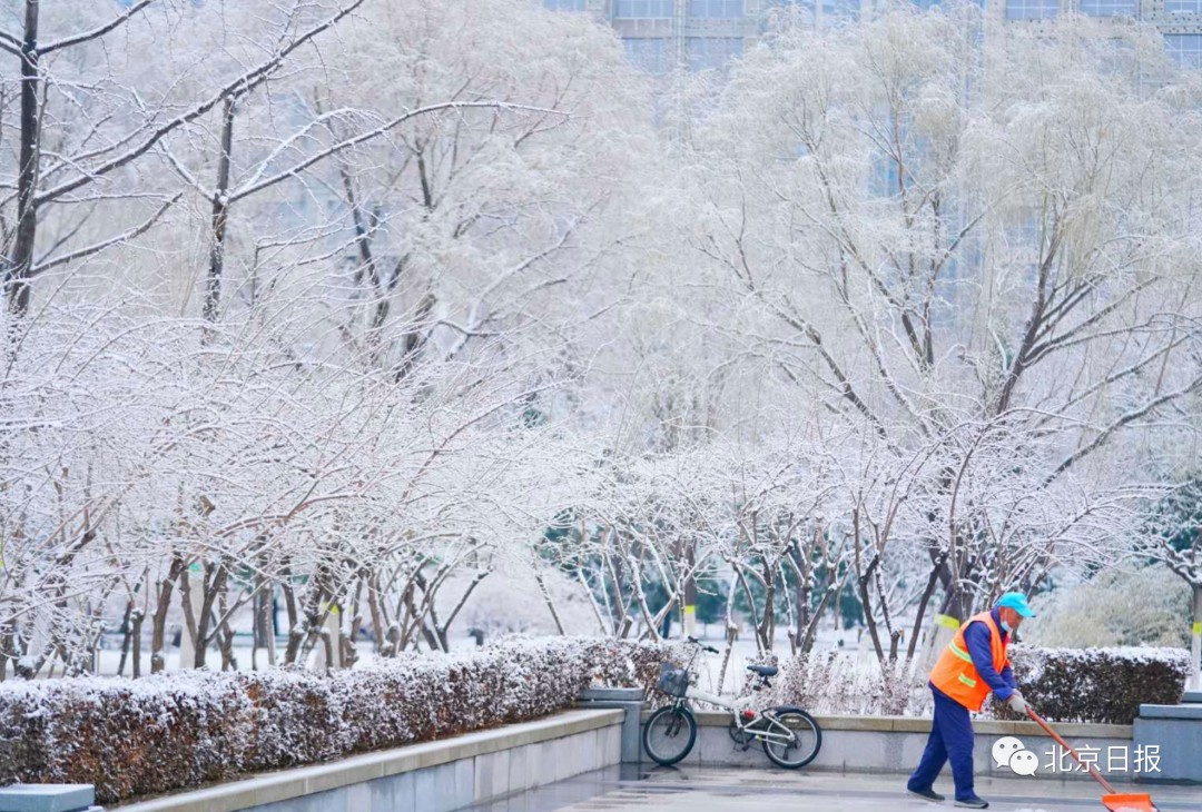 飞雪迎春到北京下雪了新鲜雪景图已到货