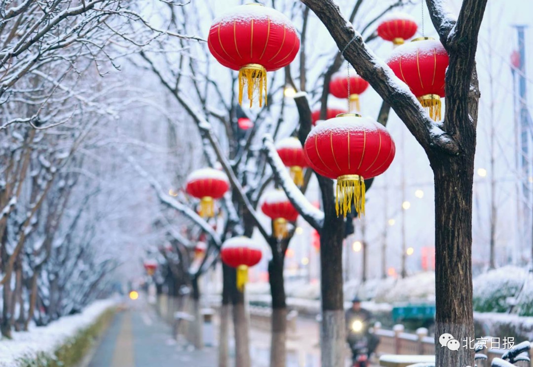 飞雪迎春到北京下雪了新鲜雪景图已到货