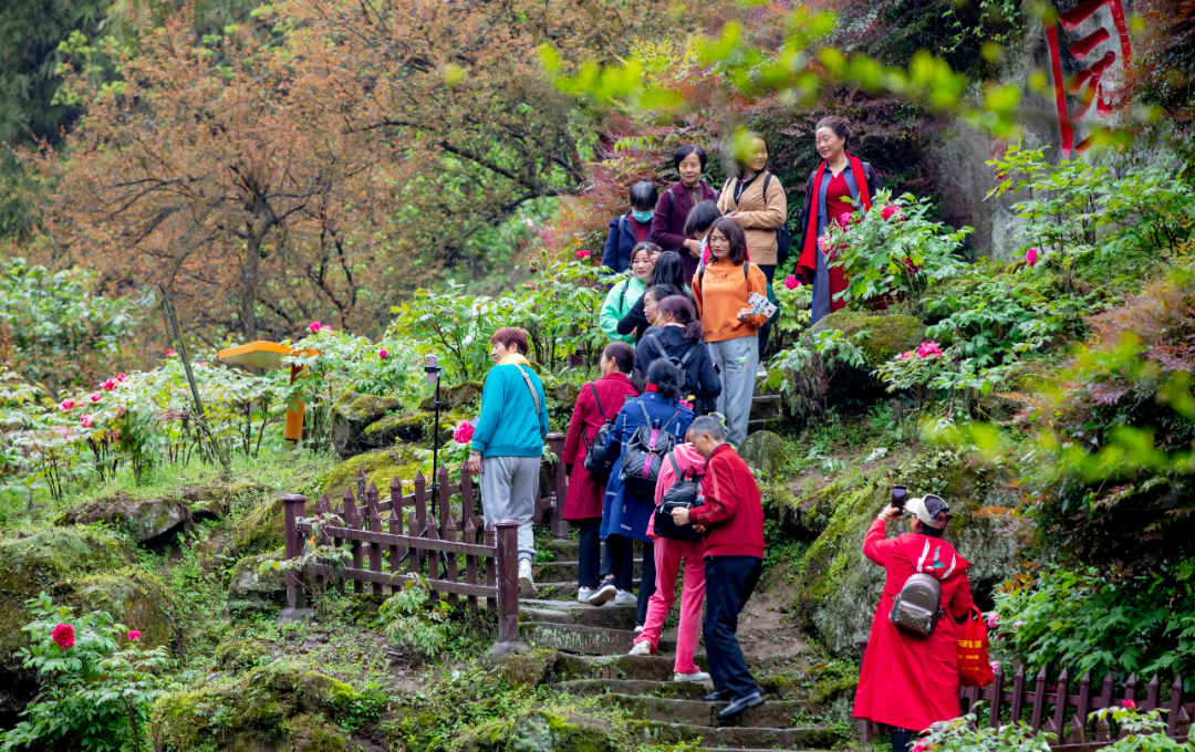 启程—丹景山旅游景区(国色牡丹,童话火车总动员—海窝子川剧