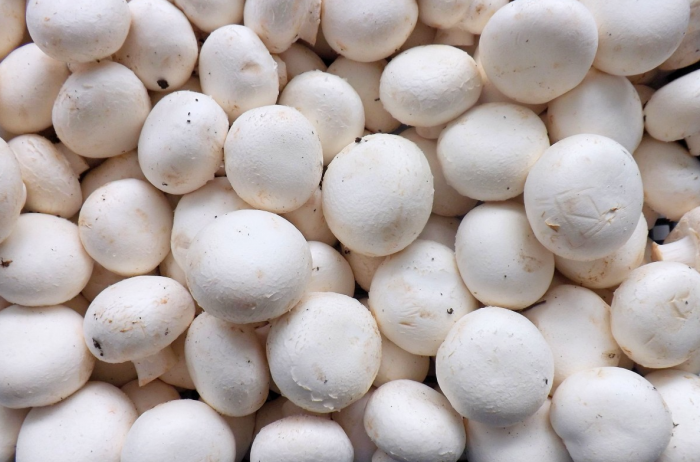 新研究发现白蘑菇中存在的化学物质可能减缓前列腺癌的进展