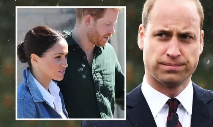 哈里恳求女王明年能把职务还给他 威廉：别做梦了