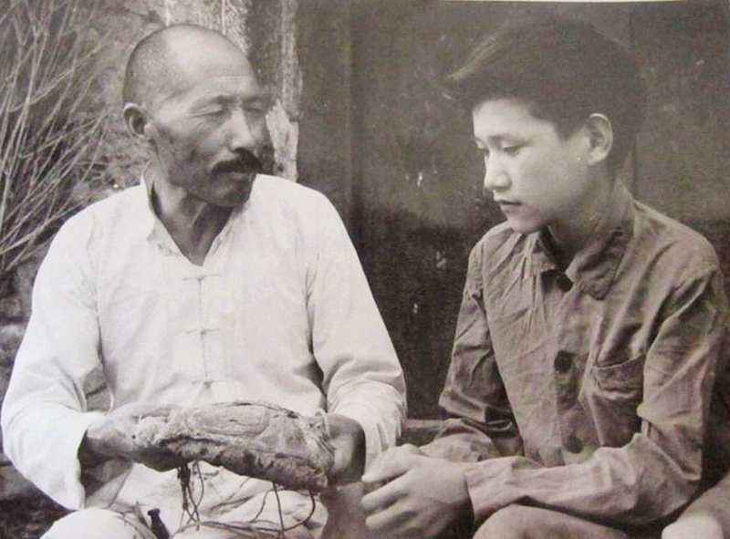 买下信用社6元股金，62年后去银行兑换，有多少分红