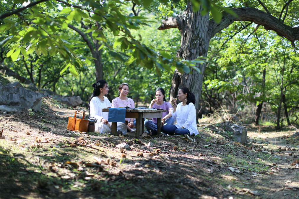 10个女友抱团进山，造出京郊一片超美野地