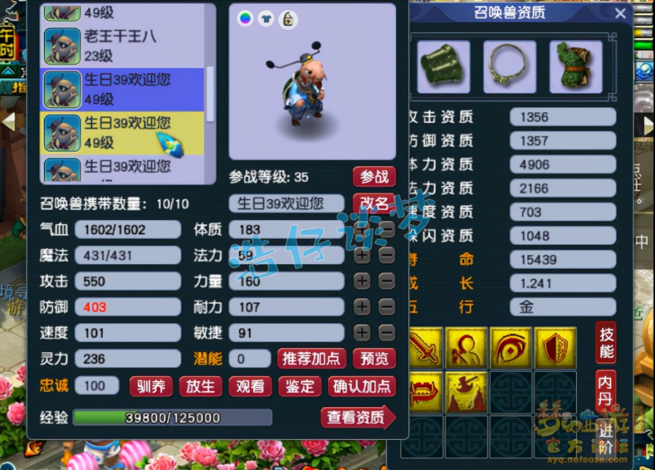 梦幻西游：39罕见花果山，全身30级装备酷爱龟丞相，8只带特殊