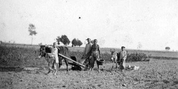 清代“中国人口大爆发”，真的是因为番薯推广吗？